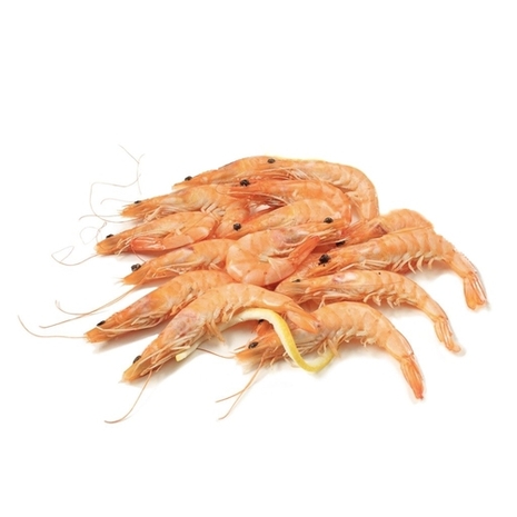 MAZZANCOLLA TROPICALE PRECOTTA (60-80)